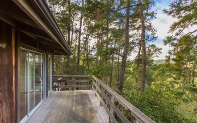 Carmel Zen Retreat