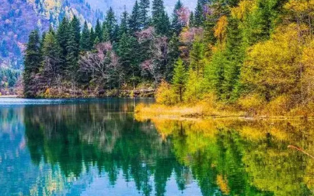 Huajianji Courtyard Home stay