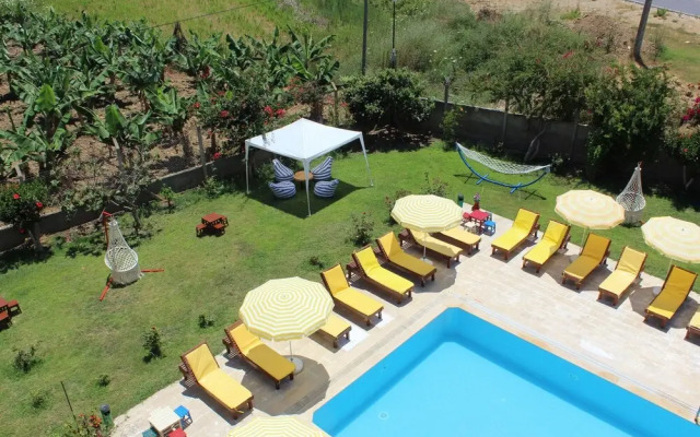 Hare Hotel