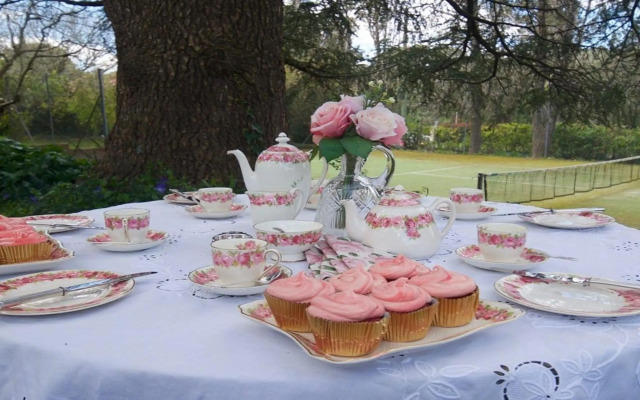 Robin Hill Manor - rambling retreat & tennis court