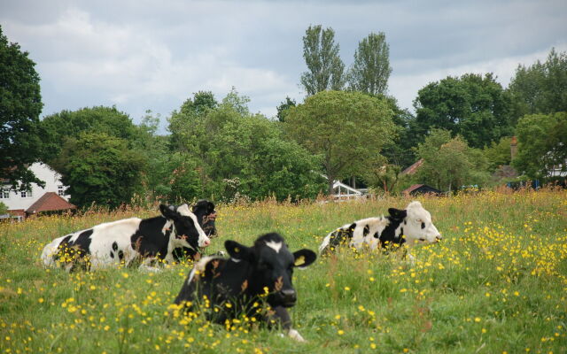 Brambles Bed and Breakfast