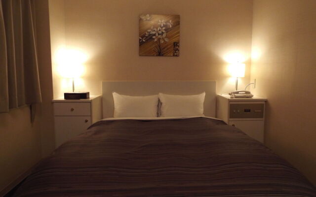 Himeji Castle Grandvrio Hotel
