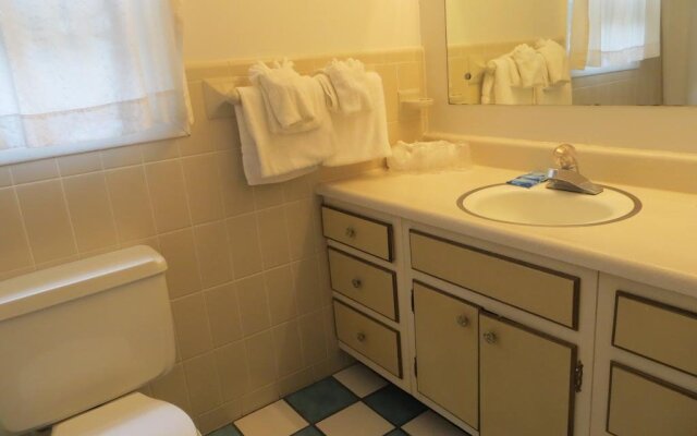 Roaring Fork Motel & Cottages