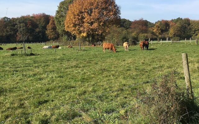 Apartment in Ellar With Garden