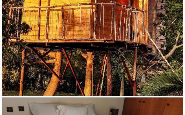 Dream catcher tree house