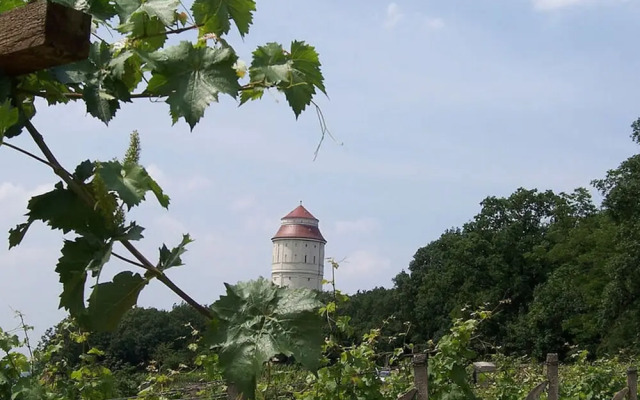 "weinberg Uitzicht" in het Felix Huis