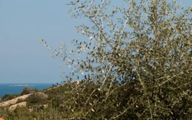 Casa Monte Maiore - Porto Rotondo