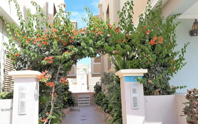 Oasis Palmeira