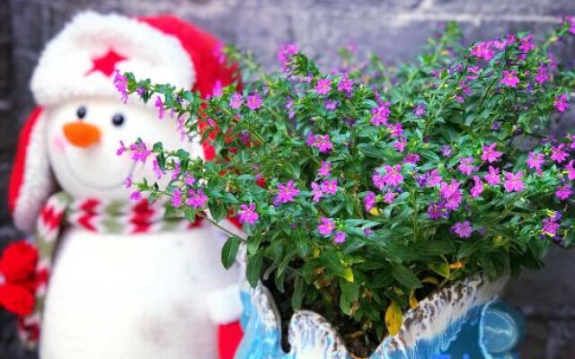 Cuanshe Boutique Hostel