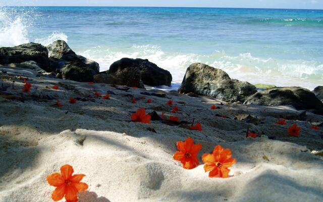Divi Southwinds Beach Resort