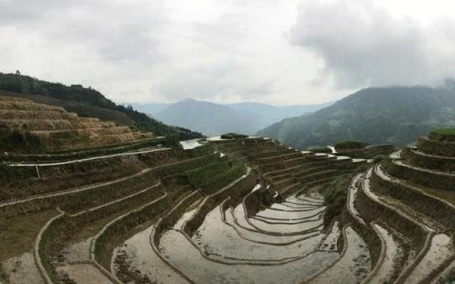Longsheng Hotel