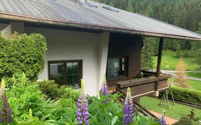 Lilly Chalet- Apartments with private sauna, close to ski lifts