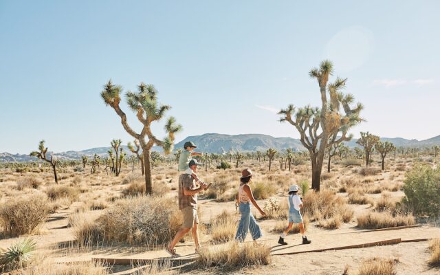 AutoCamp Joshua Tree