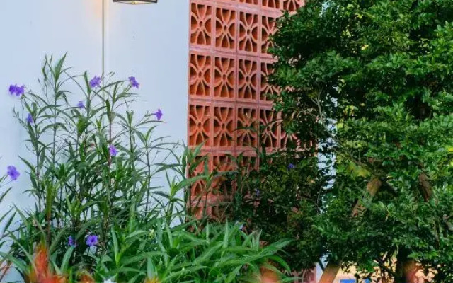 Tabebuia House
