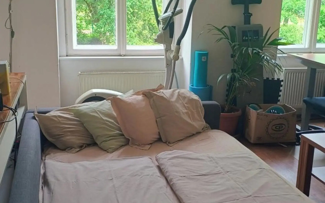 Park View - a digital Nomad's dream