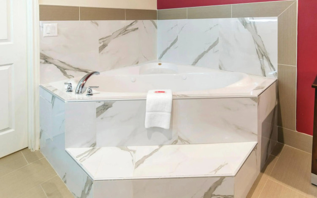 Econo Lodge Inn & Suites Houston Willowbrook