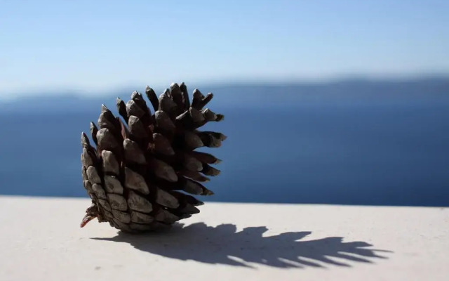 Apartments Vila Oksana