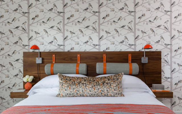 Field Guide Lodge
