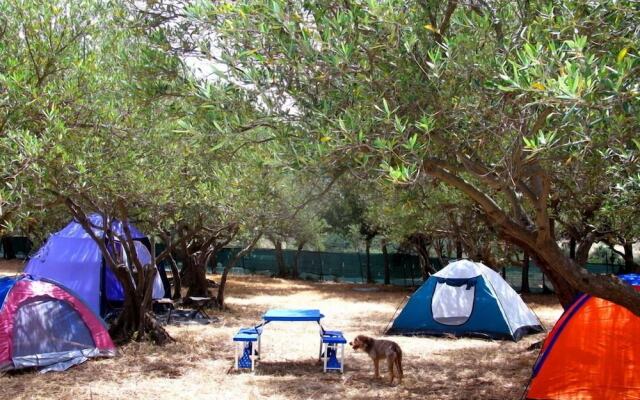 Camping Ciauli