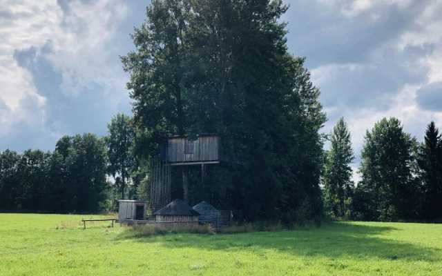 Treehouse Magpies Nest With Bubble Pool