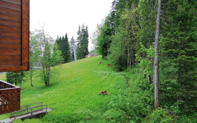 Appartement Morillon, 3 pièces, 7 personnes - FR-1-412-15