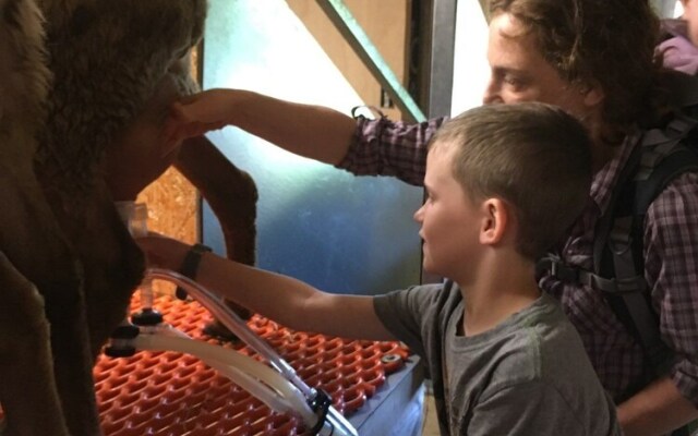 Fat Sheep Farm & Cabins