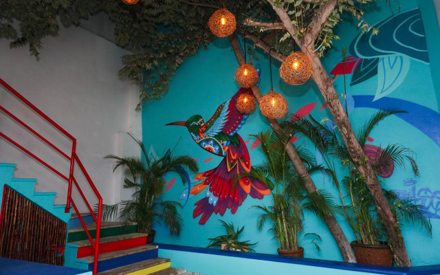 Linda Vecindad Playa del Carmen