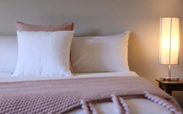 Bel Miren - Dusty Miller