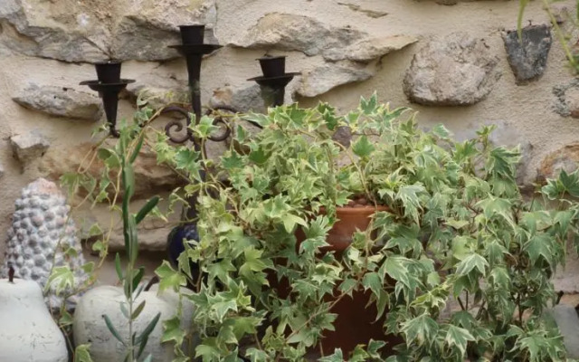 Chambre dHôtes La Maison sur la Place.