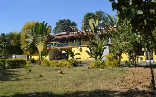 Bandhavgarh 365
