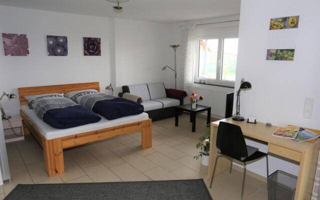 Ferienwohnung Rheingeschaut