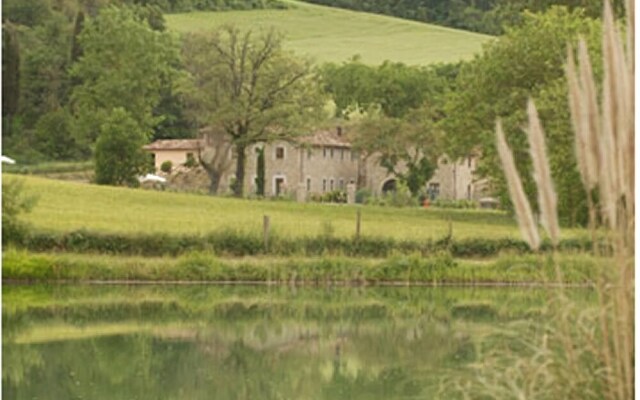 Il Pavone