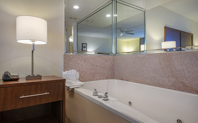 Comfort Inn Kissimmee-Lake Buena Vista South