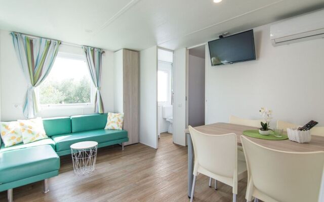 Mobile Home Septarian