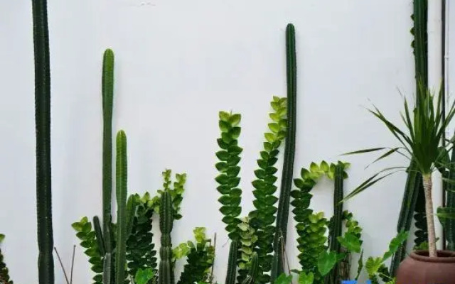 The Mangkoro By Yuwono Hospitality