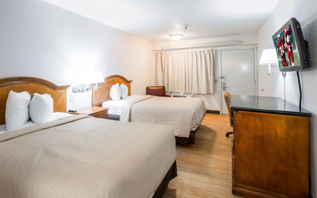 Red Roof Inn Tampa Busch