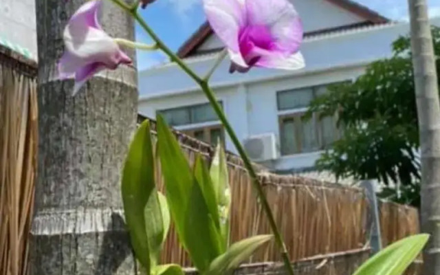 Vivi Boutique Resort Room (SHA Plus+)