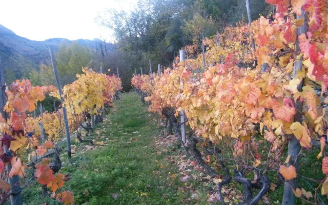 Albergo Santo Spirito