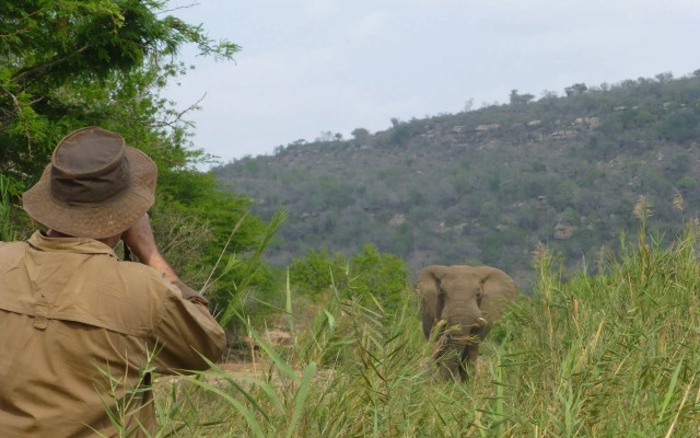 Rhino Ridge Safari Lodge