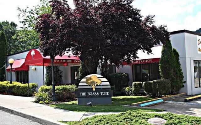 Sycamore Inn Williamson