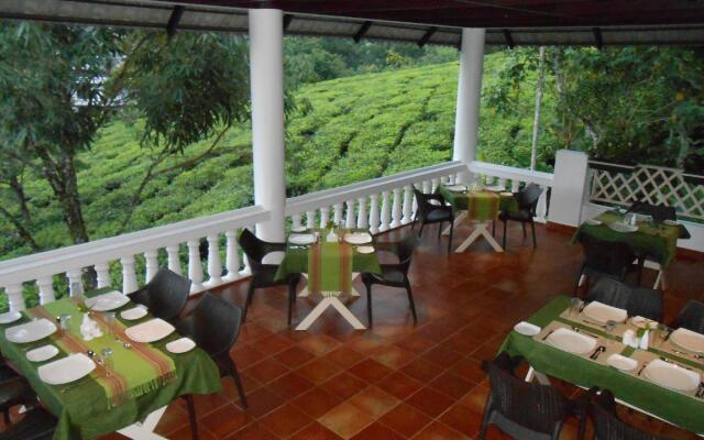 Tea Harvester Munnar