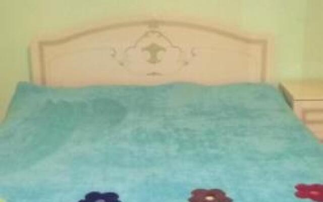 Guesthouse Megi on Robaqidze 6