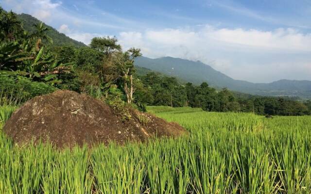 Resort Pù luông Boutique Garden