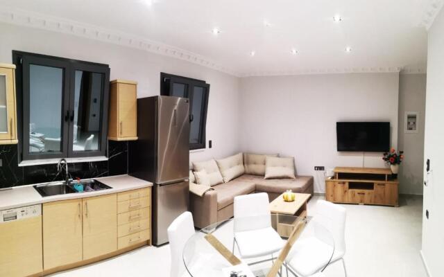 Furnished apartment (in the city center)