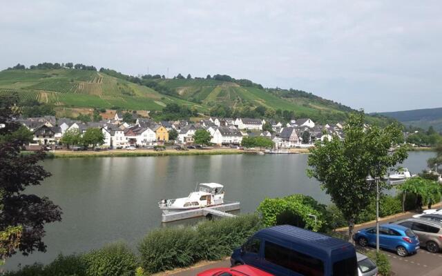 Mosel Panorama