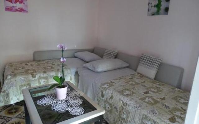 Apartment Parenzana