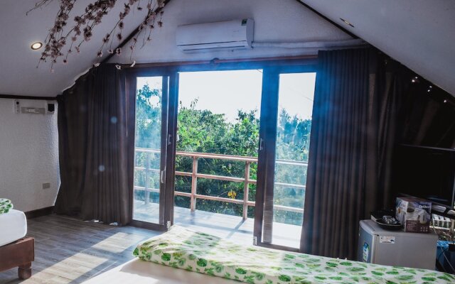 Sao Bien Cam Ranh