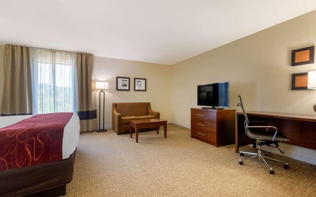 Comfort Inn & Suites Macon West
