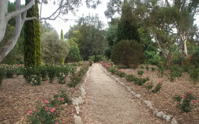 Belle Escapes Barossa Valley Lyndoch