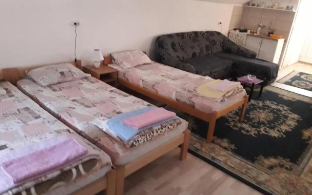 Guest House Vila Banjica